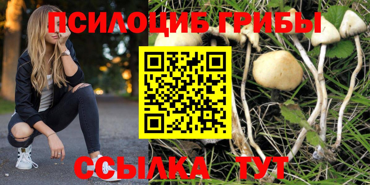 Артём  Псилоцибиновые грибы GOLDEN TEACHER  Галлюциногенные грибы Psilocybe  Вход с VPN 