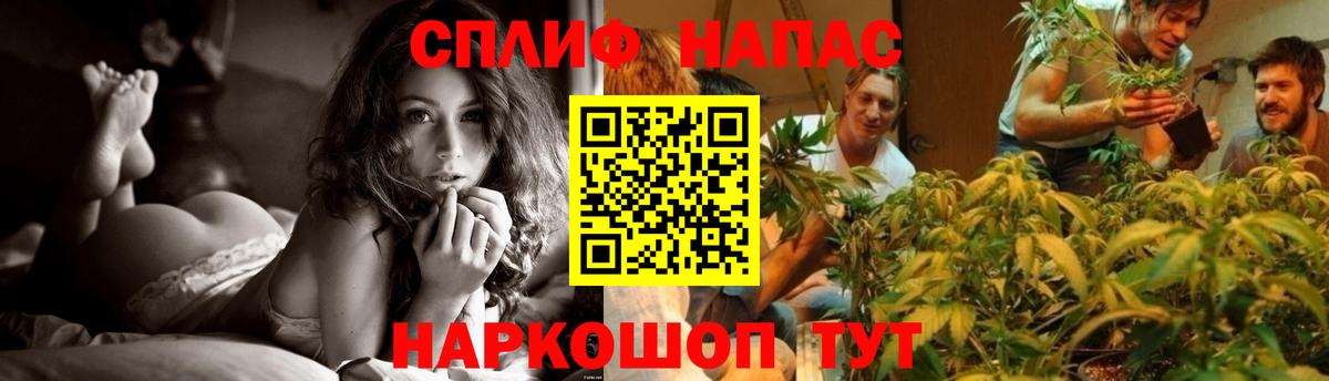 Бошки Шишки конопля  Вход с VPN  Артём  Марихуана марихуана  Марихуана конопля 